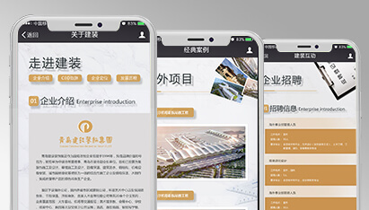 青島網(wǎng)站設計企業(yè)
